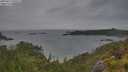 ./images/calvert/foggy-cove/20250627/foggy-cove20250627_070509M.jpg