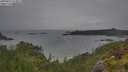 ./images/calvert/foggy-cove/20250627/foggy-cove20250627_073011M.jpg