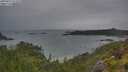 ./images/calvert/foggy-cove/20250627/foggy-cove20250627_073510M.jpg