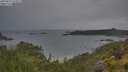./images/calvert/foggy-cove/20250627/foggy-cove20250627_074009M.jpg