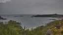 ./images/calvert/foggy-cove/20250627/foggy-cove20250627_074508M.jpg