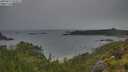 ./images/calvert/foggy-cove/20250627/foggy-cove20250627_075011M.jpg
