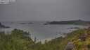 ./images/calvert/foggy-cove/20250627/foggy-cove20250627_082010M.jpg