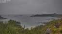 ./images/calvert/foggy-cove/20250627/foggy-cove20250627_092509M.jpg