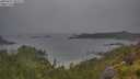 ./images/calvert/foggy-cove/20250627/foggy-cove20250627_095009M.jpg