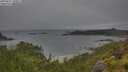 ./images/calvert/foggy-cove/20250627/foggy-cove20250627_100011M.jpg
