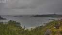./images/calvert/foggy-cove/20250627/foggy-cove20250627_102010M.jpg