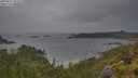 ./images/calvert/foggy-cove/20250627/foggy-cove20250627_102508M.jpg