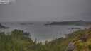 ./images/calvert/foggy-cove/20250627/foggy-cove20250627_103010M.jpg