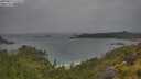 ./images/calvert/foggy-cove/20250627/foggy-cove20250627_112509M.jpg