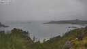./images/calvert/foggy-cove/20250627/foggy-cove20250627_114510M.jpg