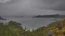 ./images/calvert/foggy-cove/20250627/foggy-cove20250627_115010M.jpg