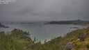 ./images/calvert/foggy-cove/20250627/foggy-cove20250627_115510M.jpg
