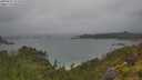 ./images/calvert/foggy-cove/20250627/foggy-cove20250627_121010M.jpg