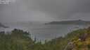 ./images/calvert/foggy-cove/20250627/foggy-cove20250627_125009M.jpg