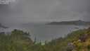 ./images/calvert/foggy-cove/20250627/foggy-cove20250627_125509M.jpg