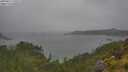 ./images/calvert/foggy-cove/20250627/foggy-cove20250627_130509M.jpg