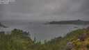 ./images/calvert/foggy-cove/20250627/foggy-cove20250627_134010M.jpg