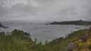 ./images/calvert/foggy-cove/20250627/foggy-cove20250627_135510M.jpg