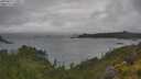 ./images/calvert/foggy-cove/20250627/foggy-cove20250627_140011M.jpg