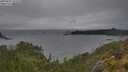 ./images/calvert/foggy-cove/20250627/foggy-cove20250627_142510M.jpg