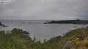 ./images/calvert/foggy-cove/20250627/foggy-cove20250627_143011M.jpg