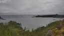 ./images/calvert/foggy-cove/20250627/foggy-cove20250627_143511M.jpg