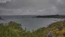 ./images/calvert/foggy-cove/20250627/foggy-cove20250627_144510M.jpg