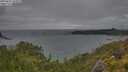 ./images/calvert/foggy-cove/20250627/foggy-cove20250627_145011M.jpg