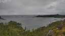 ./images/calvert/foggy-cove/20250627/foggy-cove20250627_150507M.jpg