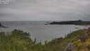 ./images/calvert/foggy-cove/20250627/foggy-cove20250627_152010M.jpg