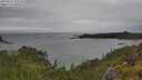 ./images/calvert/foggy-cove/20250627/foggy-cove20250627_153509M.jpg