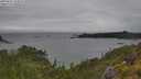 ./images/calvert/foggy-cove/20250627/foggy-cove20250627_154010M.jpg