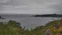 ./images/calvert/foggy-cove/20250627/foggy-cove20250627_154510M.jpg