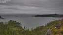 ./images/calvert/foggy-cove/20250627/foggy-cove20250627_155010M.jpg