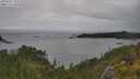 ./images/calvert/foggy-cove/20250627/foggy-cove20250627_155508M.jpg