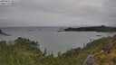 ./images/calvert/foggy-cove/20250627/foggy-cove20250627_161508M.jpg