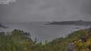 ./images/calvert/foggy-cove/20250627/foggy-cove20250627_174011M.jpg