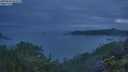 ./images/calvert/foggy-cove/20250628/foggy-cove20250628_044509M.jpg