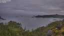 ./images/calvert/foggy-cove/20250628/foggy-cove20250628_051009M.jpg
