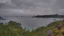 ./images/calvert/foggy-cove/20250628/foggy-cove20250628_053008M.jpg