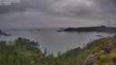 ./images/calvert/foggy-cove/20250628/foggy-cove20250628_054009M.jpg