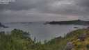 ./images/calvert/foggy-cove/20250628/foggy-cove20250628_054509M.jpg