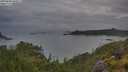 ./images/calvert/foggy-cove/20250628/foggy-cove20250628_060011M.jpg