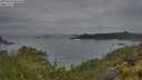 ./images/calvert/foggy-cove/20250628/foggy-cove20250628_063010M.jpg