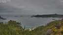 ./images/calvert/foggy-cove/20250628/foggy-cove20250628_063509M.jpg