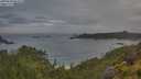 ./images/calvert/foggy-cove/20250628/foggy-cove20250628_064510M.jpg