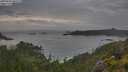 ./images/calvert/foggy-cove/20250628/foggy-cove20250628_065510M.jpg
