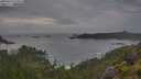 ./images/calvert/foggy-cove/20250628/foggy-cove20250628_070010M.jpg