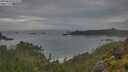 ./images/calvert/foggy-cove/20250628/foggy-cove20250628_072008M.jpg